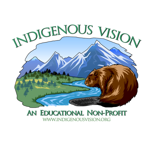 Indigenous Vision logo